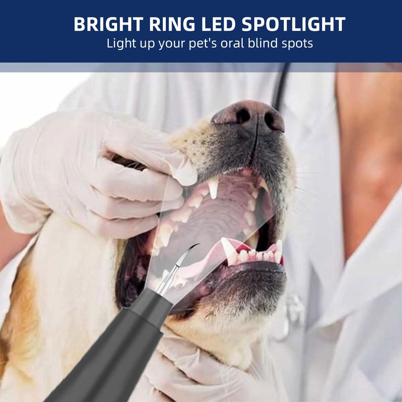 Plaque Remover for Teeth, Pet Ultrasonic Cleaner, Dog Plaque and Tartar Remover with LED Light, Dog Teeth Cleaning Dental Care Kit for Tartar and Stains, Suitable for Dogs and Cats (Black) Black - BeesActive Australia