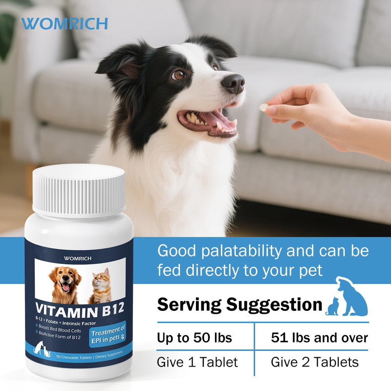 Appetite Stimulant for Cats and Dogs Vitamin B12 Tablets - Methylcobalamin B12 - Appetite Stimulant Treatment of EPI in Pets Supports Energy, Red Blood Cell Formation, Nervous System - 90 Tablets