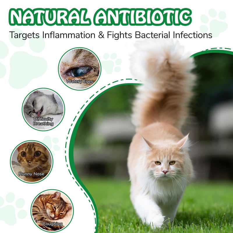 Cat Antibiotics for Infections - 120ml，Antibiotics for Cats，Cat Antibiotics for Skin Infection，Natural Antibiotics for Cats，Pet Antibiotics for Allergy Relief，Immune Support - Chicken Flavou (2Pcs) 2Pcs Green