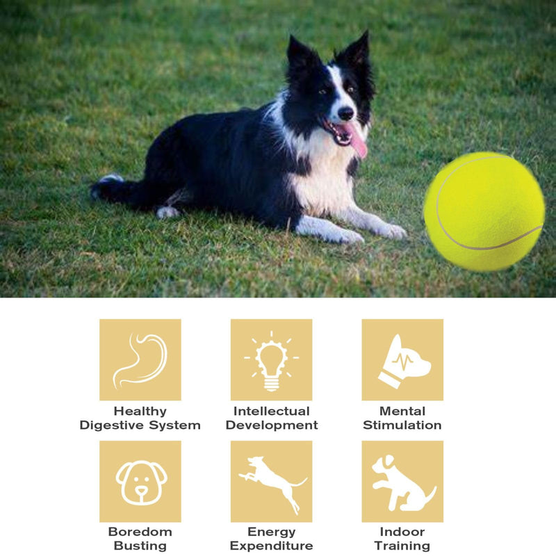 Giant Tennis Balls for Dogs 9.5" with Inflating Needles for Small Medium Large Dog Toys Ball