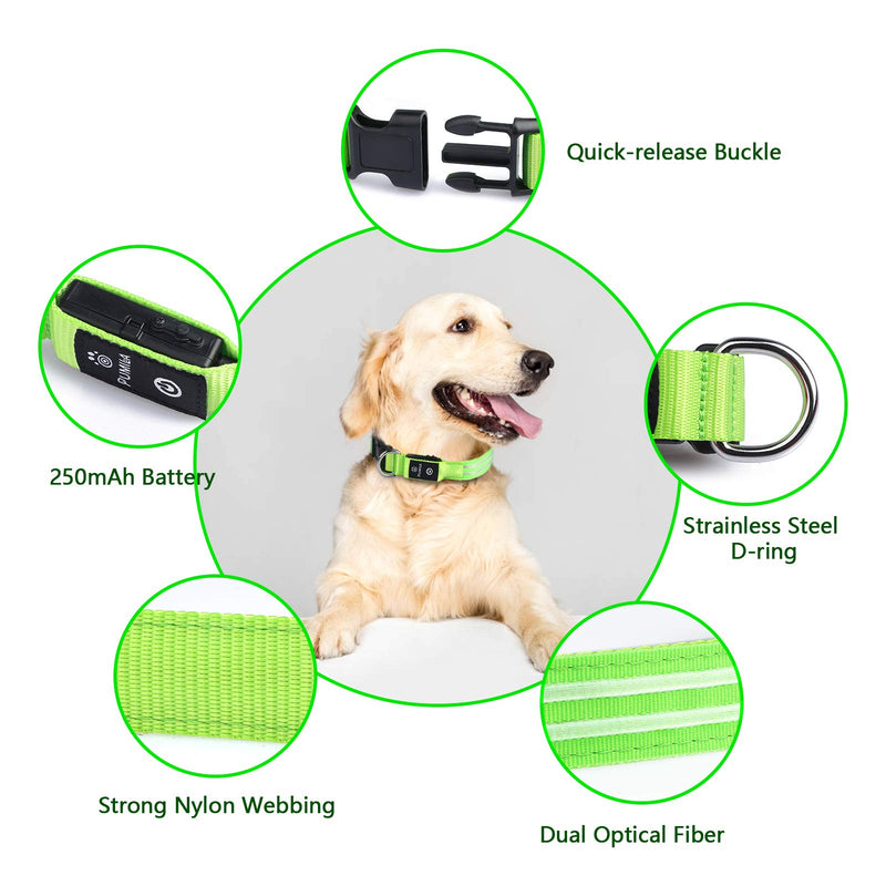 PcEoTllar Luminous Dog Collar Rechargeable, LED Dog Collar Luminous with 3 Light Modes, Luminous Dog Collar Adjustable Waterproof for Small Medium Large Dogs, Green-L L(48-60cm/19-23.6inch) Green(TC5000) - BeesActive Australia
