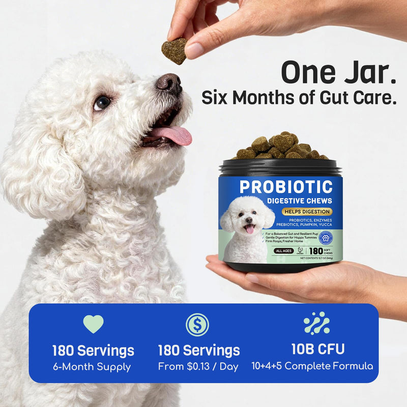 Probiotics for Dogs: 10B CFU Digestive Health Soft Chews with Prebiotics, Enzymes & Pumpkin - for Small & Large Dogs, Stool, Gut, Immune Support - Chicken, 180ct