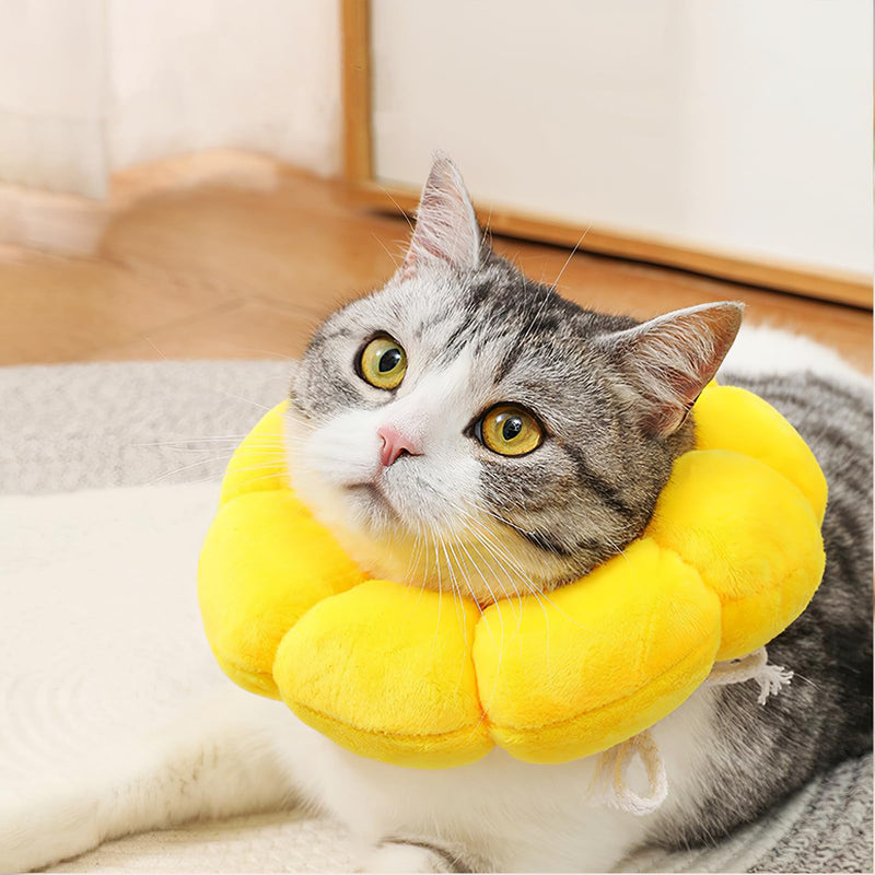Cat Neck Collar, Cat Collar, Elizabethan Collar for Cats, Soft Adjustable Neck Brace for Pet Recovery, Licking and Scratching Post Surgery Protection (Yellow, S) Yellow - BeesActive Australia