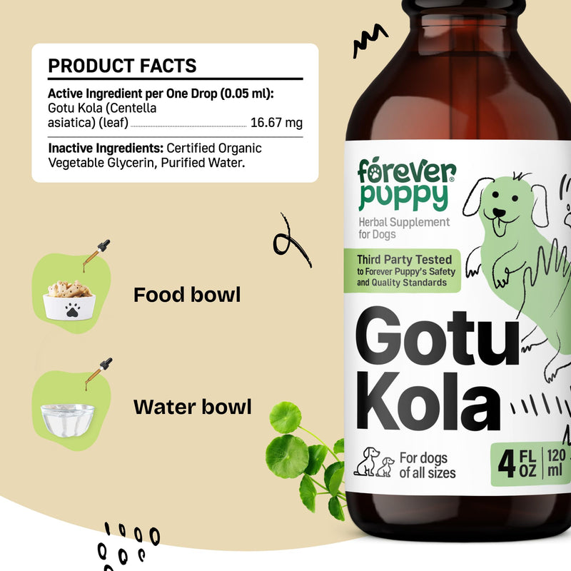 Gotu Kola Drops for Dogs - Gotu Kola Extract & Centella Asiatica for Brain Health Support - Nutritional Brain Supplement for Dogs of All Breeds & Sizes - 4 oz 4 fl oz - PawsPlanet Australia