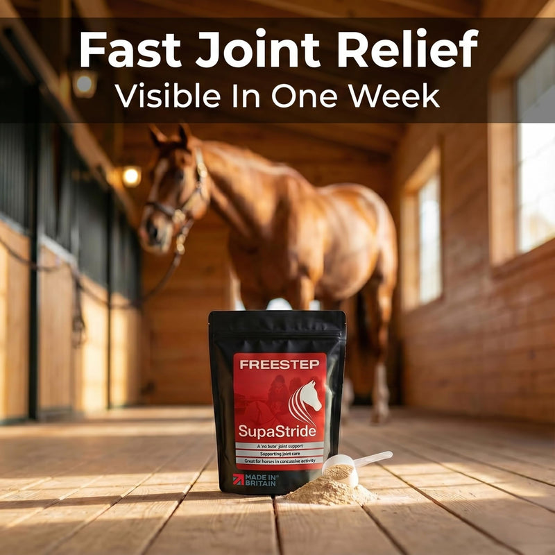 SupaStride | Horse Joint Supplement | Boswellia for Horses & Bromelain Powder | Hip & Joint Supplement for Horses, with Magnesium Oxide & Milk Thistle for Older Ponies and Arthritis 500g | 2 Months Supply