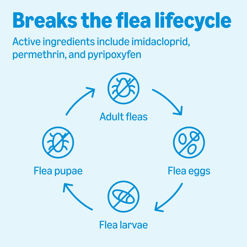 Amazon Basics Flea, Tick & Mosquito Topical Treatment & Prevention for Medium Dogs (11-20 pounds), Fast-Acting, Kills Fleas, Eggs & Larvae, 30 Day Protection, 6 Count, Packaging May Vary