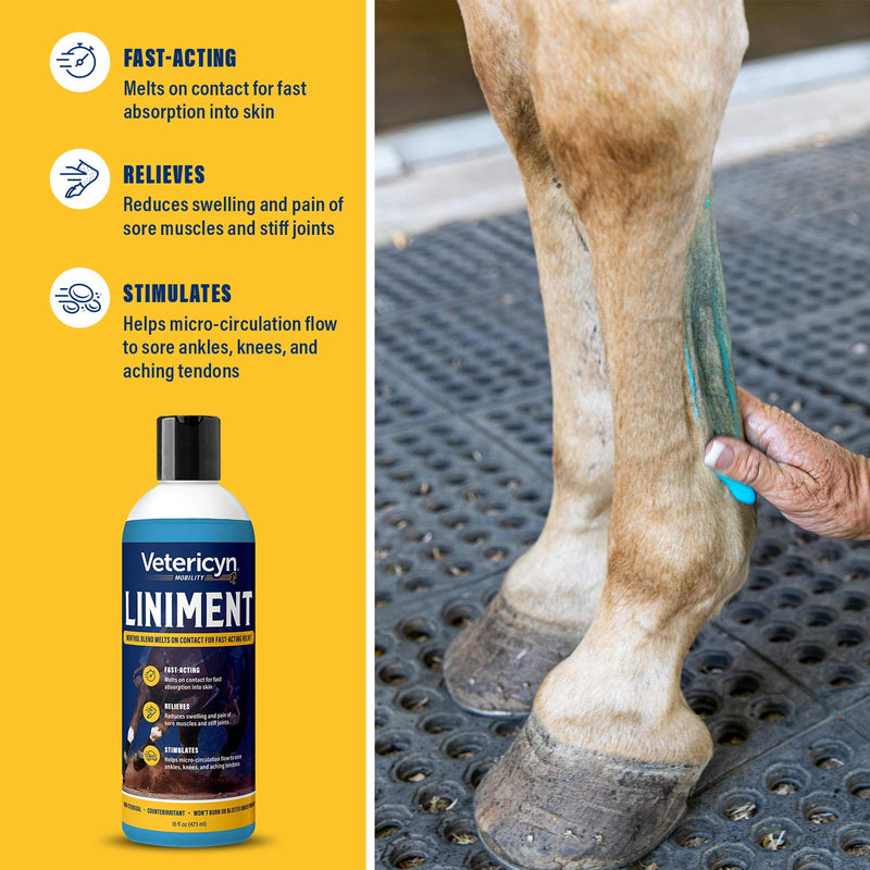 Vetericyn Equine Liniment for Fast-Acting Relief of Muscles and Joints – Menthol-Based Topical Analgesic for Horses – 16 Ounces,Blue 16 Ounce - BeesActive Australia