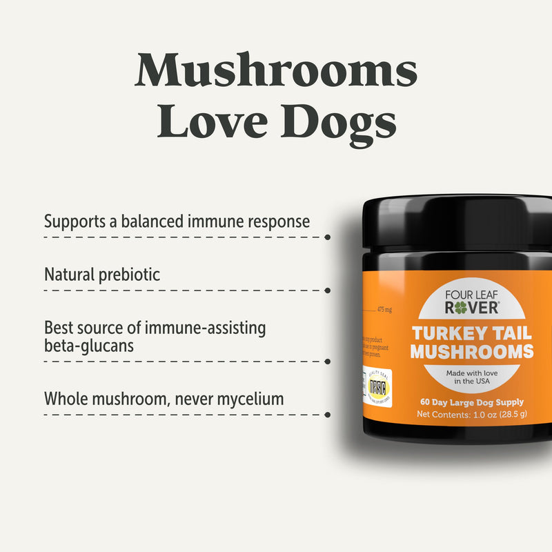 Turkey Tail Mushroom for Dogs - Whole, Organic Mushrooms - Tested High in Critical Beta-Glucans - No Grains or Fillers - 60 Day Large Dog Supply 60 Day Supply - PawsPlanet Australia