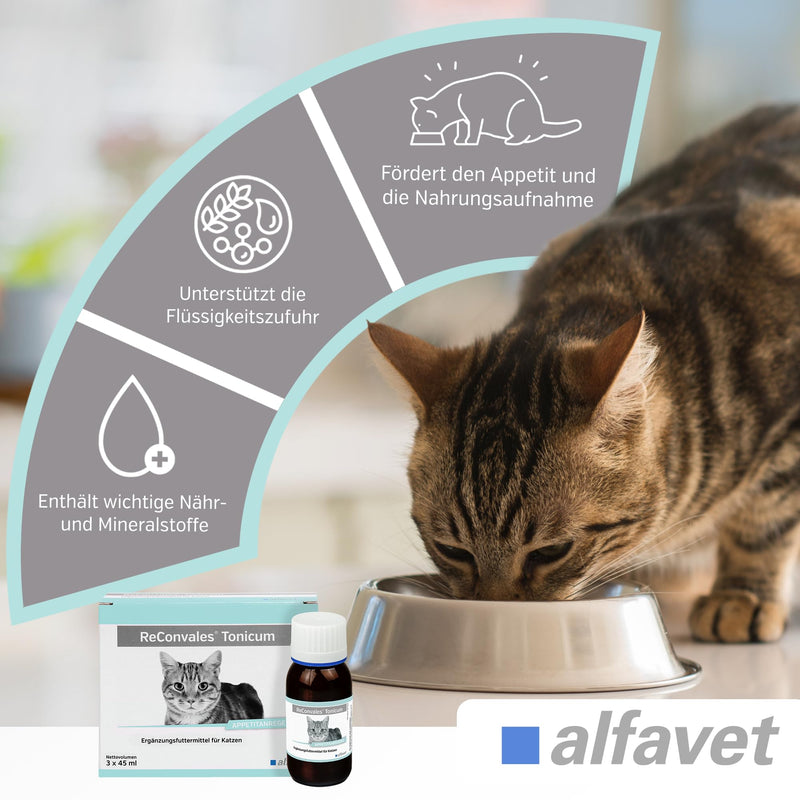 alfavet ReConvales Tonicum Cat Liquid Supplement (3 x 45 ml) – Nutritional Support for Cats – Appetite & Recovery Tonic 45 ml (3er Pack)