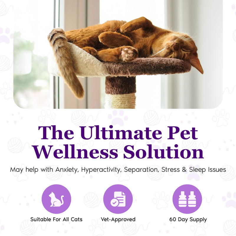 Purrfect Cat Calming Diffuser | Stress Relief for Pets | Multi Cat Calming Pheromone Diffuser | Soothing Pheromone Technology | Long-Lasting Effect for up to 30 Days