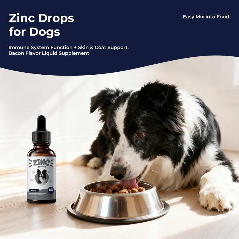 Zinc Drops for Dogs – Daily Mineral Support for Immune Balance & Skin Health, Liquid Zinc Supplement, Easy to Mix, Bacon Flavor, 2 fl oz (60 mL)