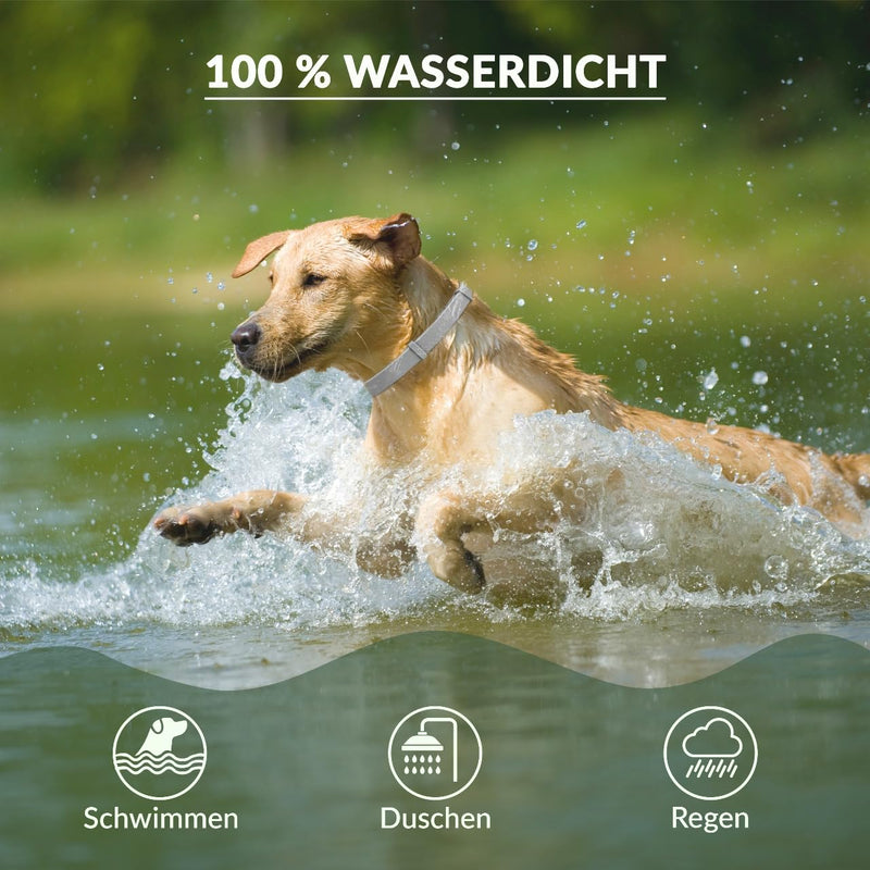 Animal Vita® Premium tick collar for dogs - reliable protection against ticks [waterproof and size-adjustable] up to 8 months of tick protection for dogs - BeesActive Australia