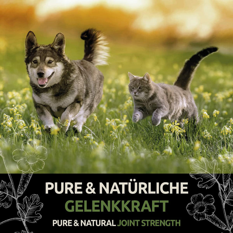 GreenPet Devil's Claw Dogs, Horses & Cats 1 kg - Supports joint function & agility, natural joint powder made from pure devil's claw root without additives - BeesActive Australia