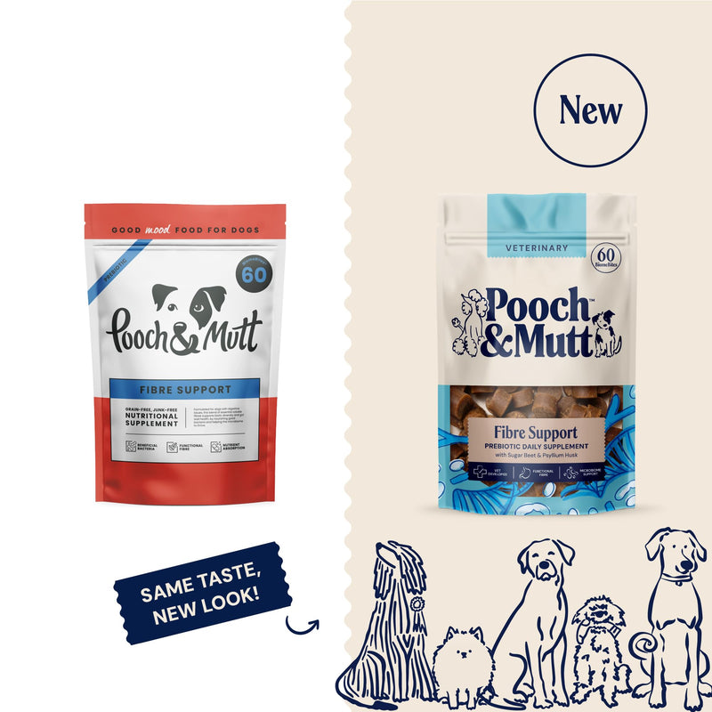 Pooch & Mutt - Fibre Support Supplement For Dogs, Helps Provide Extra Fibre and Support Digestive Health, 180g (Pack of 1) (packaging may vary) Regular
