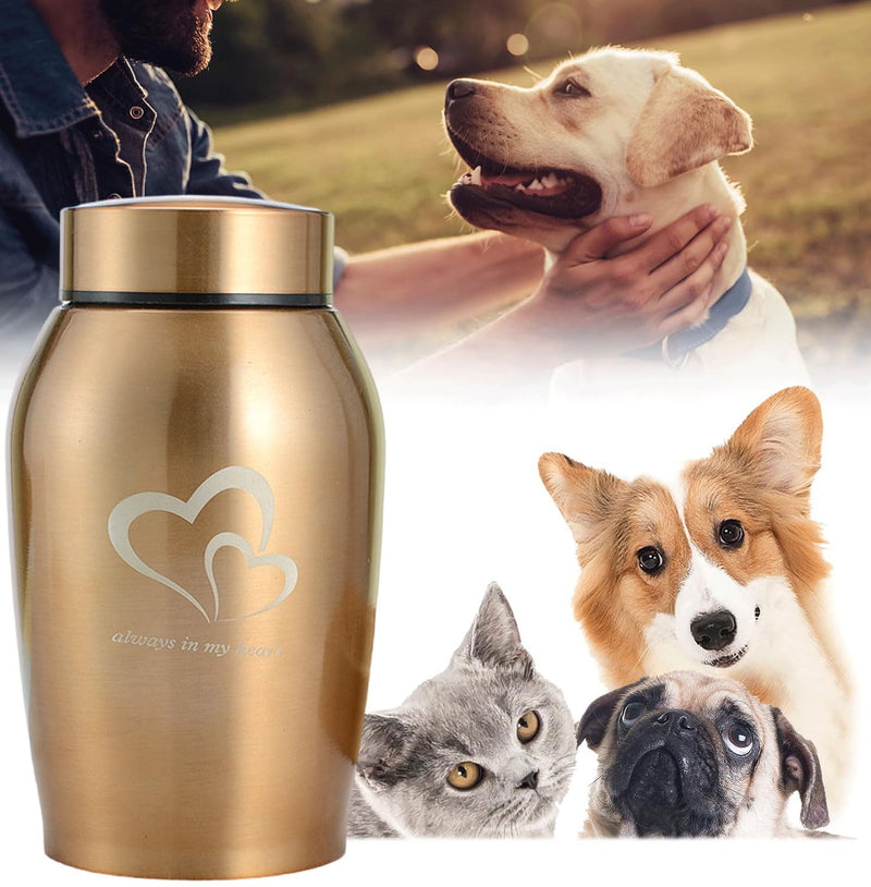 ZHYUAN Pet urn made of stainless steel, urns for dogs and cats, pet memorial urn, memorial urn, portable pet urn, pet urn made of stainless steel, suitable for dogs, cats and other small animals (Golden) Golden - BeesActive Australia
