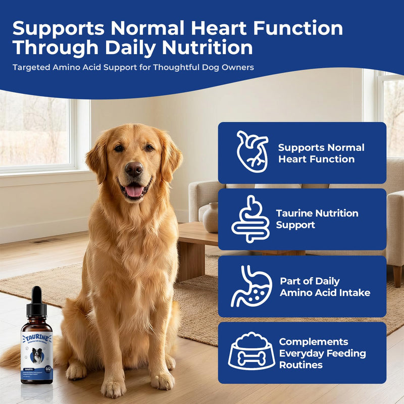 Taurine Supplement for Dogs Liquid Drops, Amino Acid Support for Heart & Muscle Function, Daily Canine Nutrition Supplement, 60 mL × 2 Bottles