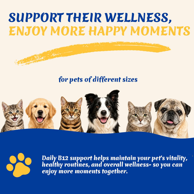 Dog & Cat Appetite Stimulant, Vitamin B12 (Methylcobalamin) Supplement | Energy & Appetite, Immune System Support - 3.5 fl oz