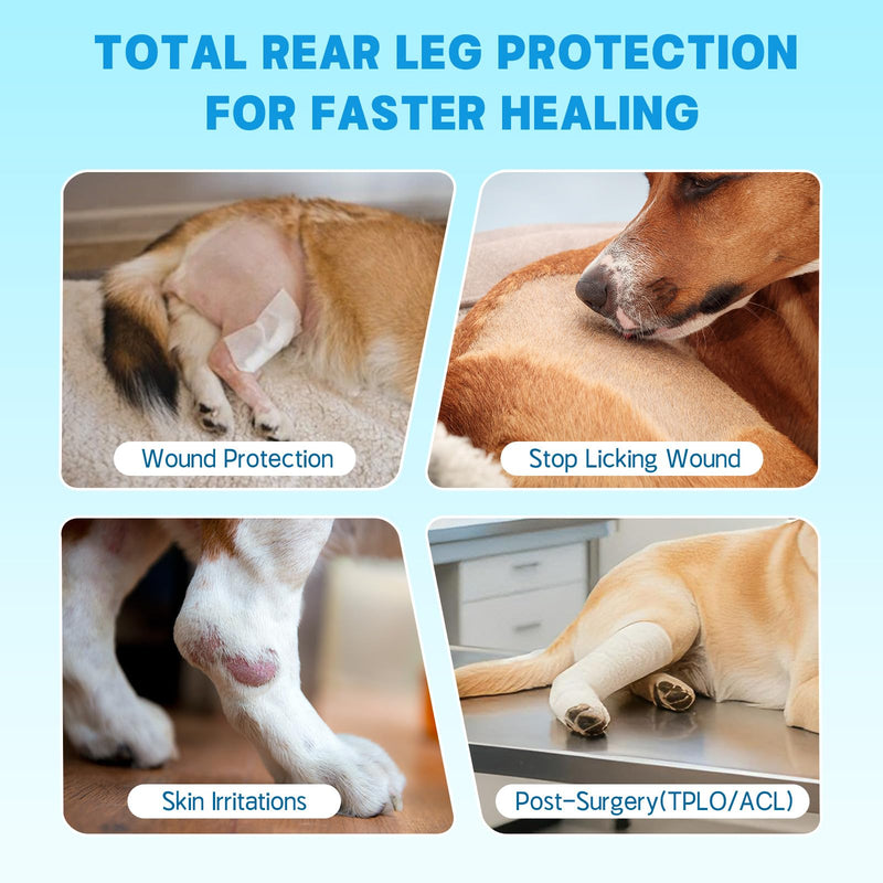 Dog Rear Leg Sleeve to Stop Licking, Adjustable Anti-Slip Recovery Sleeve Pants for Wound Protection After ACL/TPLO Surgery, Hot Spots, Lick Granulomas–Cone Alternative for Leg Healing,M