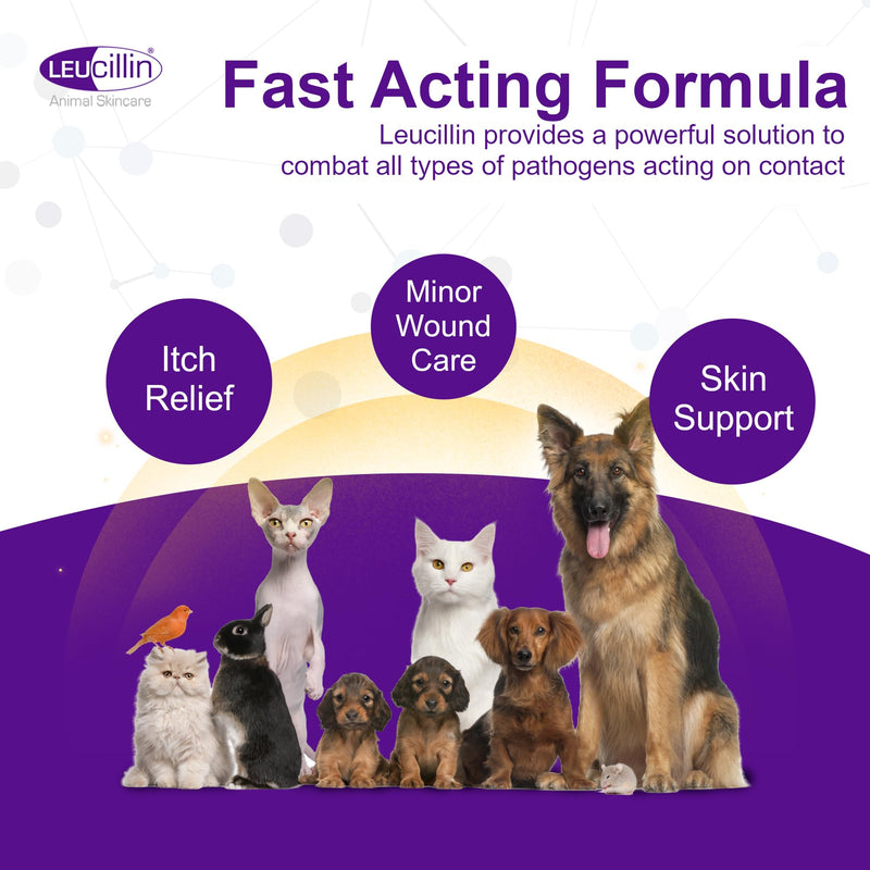 Leucillin Natural Antiseptic Spray - Antibacterial Antifungal Antiviral for Dogs Cats All Animals Itchy Skin Minor Wound Care and Skin Health | 250ml 250 ml (Pack of 1)
