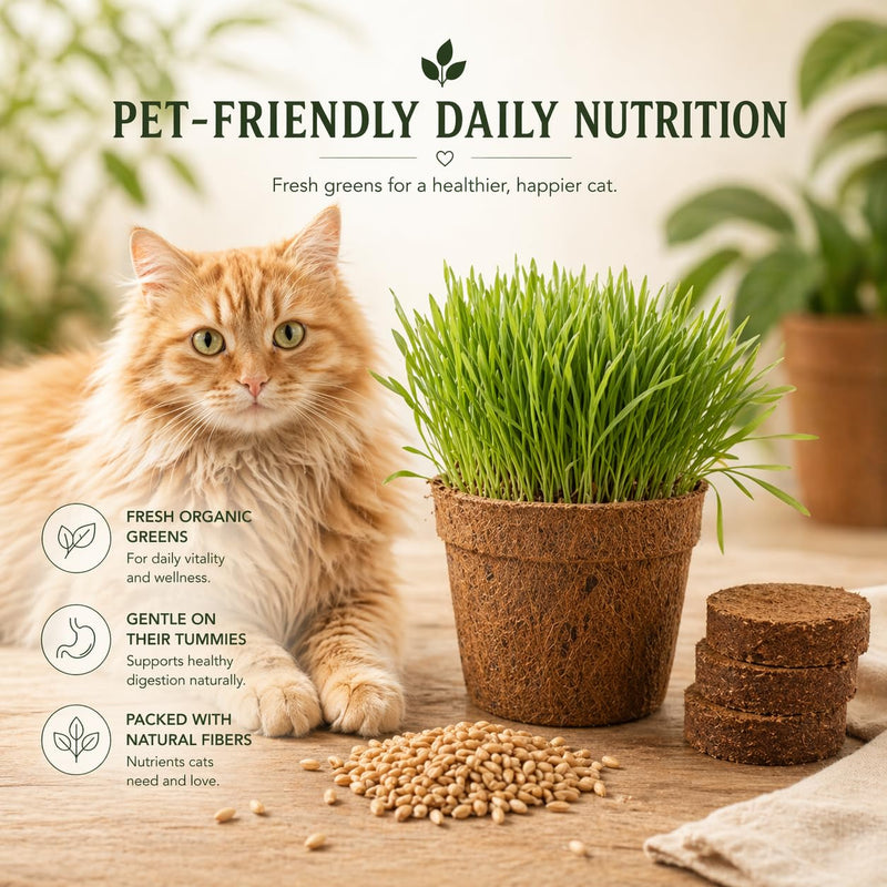 Cat Grass Kit for Indoor Cats - Organic Cat Grass Growing Kit (3 Pack) with Soil Discs, Coco Fiber Pots & Organic Seeds - Natural Hairball Control & Digestion Remedy