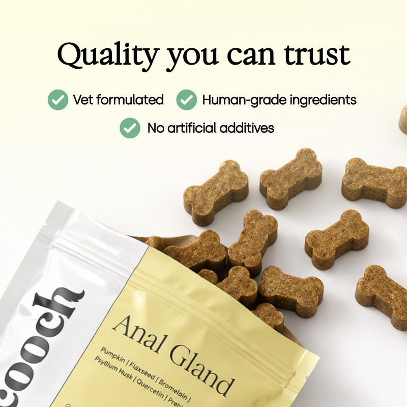 Scooch Anal Gland Supplement for Dogs — Fibre Chews Dogs Actually Eat | Banana, Apple & Coconut | Supports Firm Stools & Natural Gland Emptying | Plant-Based, Grain-Free | 60 Chews