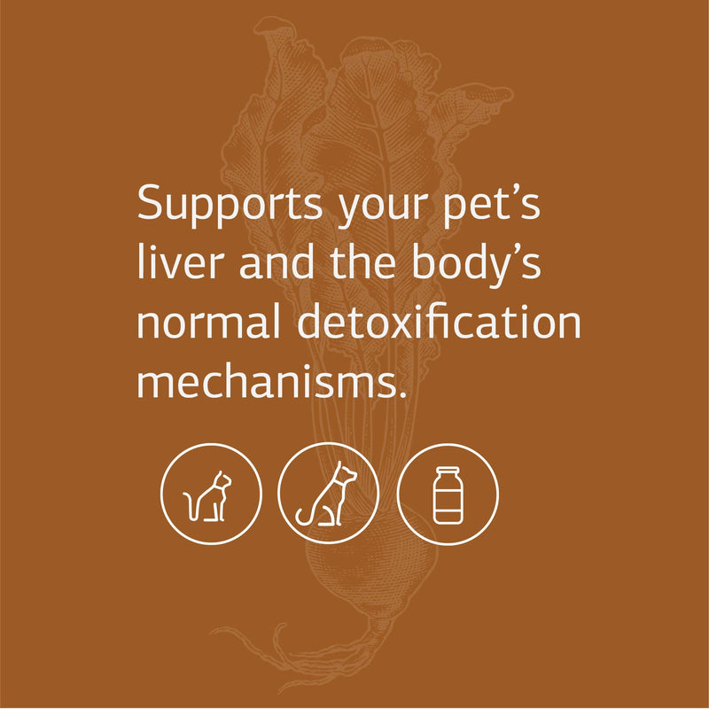 Standard Process VF Antronex for Pets - Feline & Canine Hepatic Support Formula - Healthy Liver Supplement for Cats & Dogs - Antronex Supplement to Support Healthy Immune System - 90 Tablets - PawsPlanet Australia