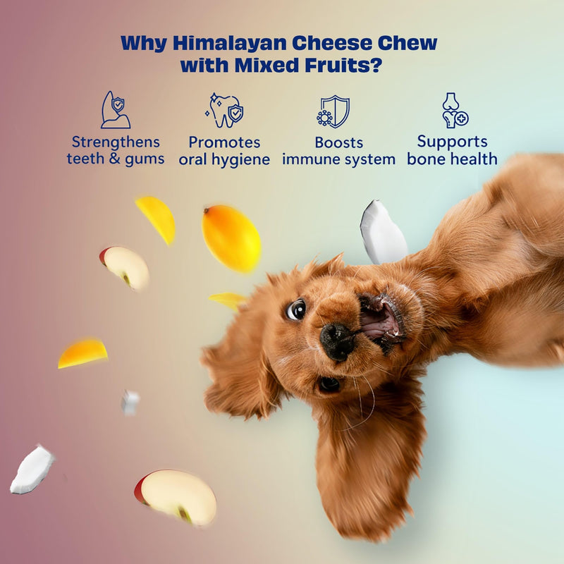 Himalayan Cheese Chews for Dogs Multipack - Apple, Coconut, Mango Chews for Medium Dogs (6.08oz, Pack of 3) Long Lasting, All Natural | Grain-Free | Rawhide-Free | Protein Rich, Healthy Teeth & Bones Apple, Mango, Coconut 2.27 Ounce (Pack of 3) - PawsPlanet Australia
