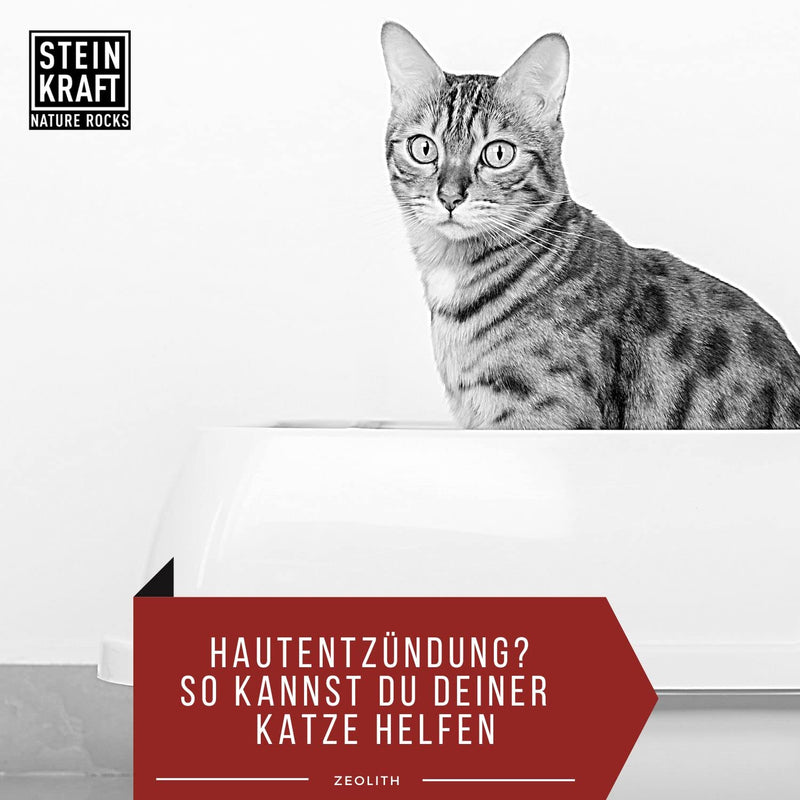 STEINKRAFT ZEOLITE powder for cats and small animals, 50g, 14 μm, natural minerals, high clinoptilolite content - BeesActive Australia