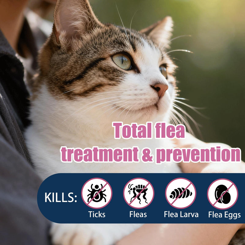 Topical Flea & Tick Drops for Cats & Kittens, Waterproof Monthly Care for Cats Over 1.5 lbs and 8 Weeks or Older, 3 Doses (3-Month Supply)