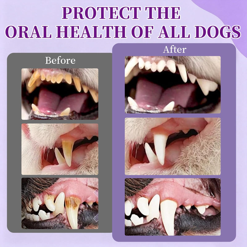 2 PCS PawBright Dental Plus,Pet Oral Care,Natural Flavorless Teeth Cleaning Mouthwash to Fight Tartar,Promote Healthy Gums & Freshen Breath,for all Pet
