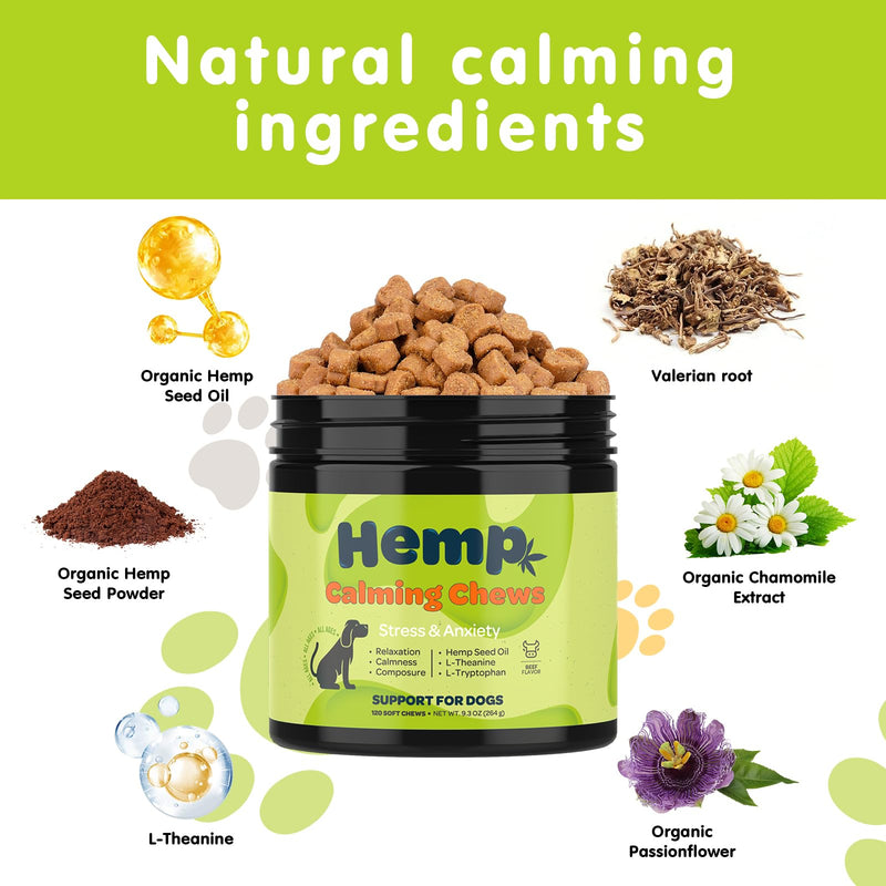 ZINGLY Hemp Calming Chews for Dogs Anxiety Relief, Dog Calming Chews - Anxiety Relief Treats, Anxiety Relief for Dogs Calming Treats, Calming Care for Dogs - Separation Aid, Barking, Bacon, 120 Counts 120 Count