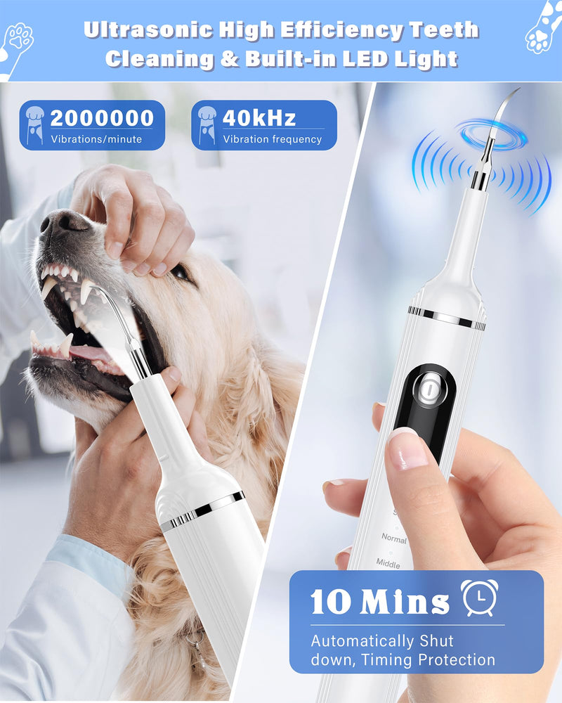 Plaque Remover for Teeth, Pet Tooth Brushing Kit, Dental Tools to Remove Plaque and Tartar, Safe for Dog and Cat, with LED Light, White