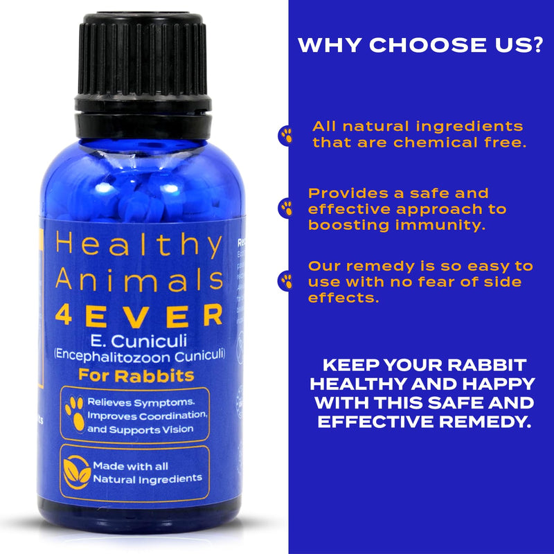 Healthy Animals 4Ever - All-Natural Rabbit E. Cuniculi Infection Treatment | Homeopathic Support for E. Cuniculi - Preventive Health Solution - Rabbit Immunity Boosting Tablets - 300 Count - PawsPlanet Australia