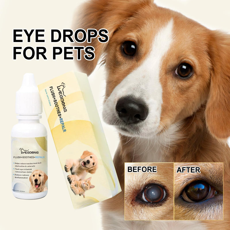 HcirjhieEye Drops for Dogs, Dog Eye Infection Treatment, Superior Comfort Long，Lasting Relief Fewer Application Needed, Used to Clean Tear Stains, Remove Eye Stains, and Relieve Dryness, 20mI - PawsPlanet Australia