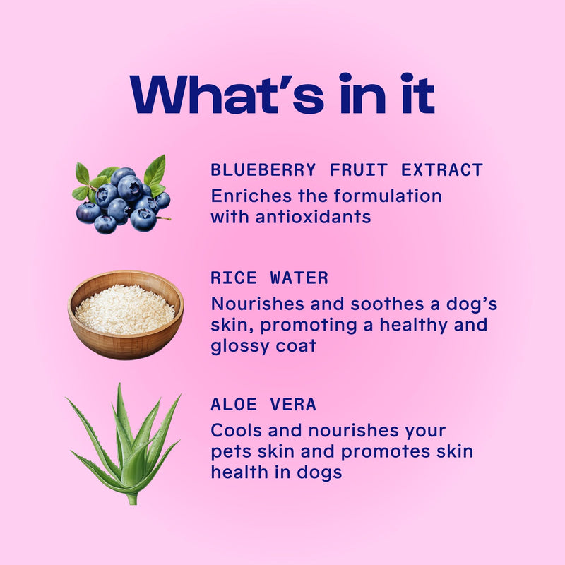 Dirty Dog Beauty Club - Furboost Cleanser for Dogs with Natural Ingredients, Effective Removal of Tear Stains - Gentle Solution with Blueberry Extract, Coconut and Rice Water, 100 ml (3.4 oz) - PawsPlanet Australia