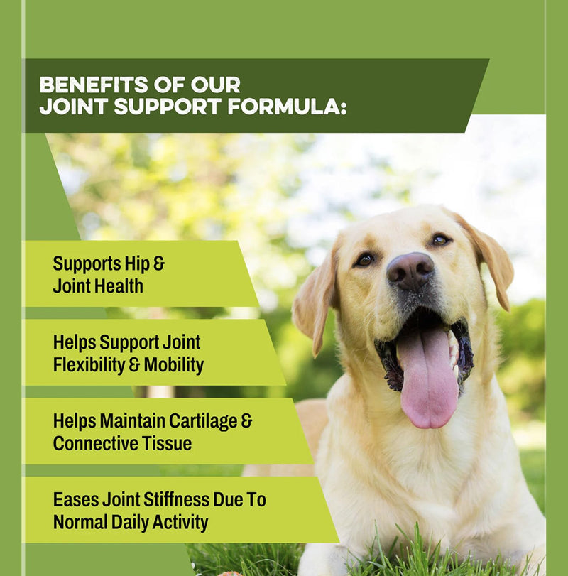 FlexiPaw - High Strength Hip And Joint Supplement for Dogs with Glucosamine, Chondroitin, Green Lipped Mussel | 120 Tablets