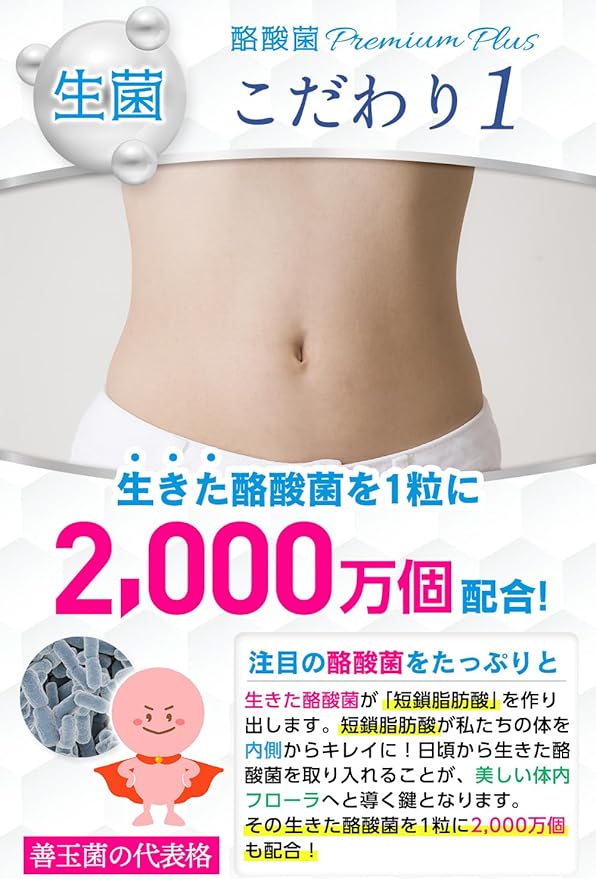A-Gift Butyric acid bacteria Premium Plus supplement Butyric acid bacteria 2.4 billion pieces Bifidobacterium 360 billion pieces Longum bacteria Fructooligosaccharide Lactoferrin Short chain fatty acids Live bacteria - BeesActive Australia