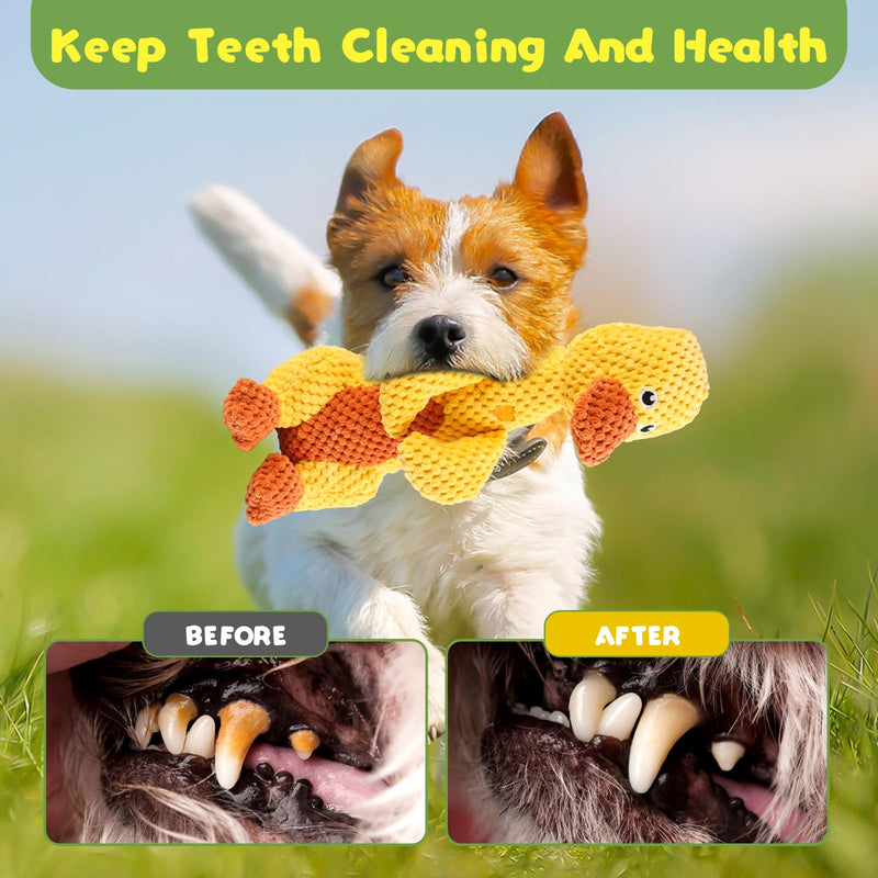 Dog Toy,Wowpetsmart Invincible Chewanimals,Suitable for Heavy Chewing Dogs Teething Toys,Suitable for Small Dogs,No Harm to Teeth(Frog) - BeesActive Australia