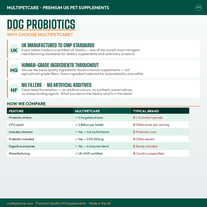 Probiotics for Dogs – 5-Strain 2 Billion CFU + Digestive Enzymes & Prebiotics | Gut Health, Firm Stools, Less Gas & Bloating | Full B-Complex Vitamins in One Tablet | Chicken Flavor | UK GMP | 120 Ct