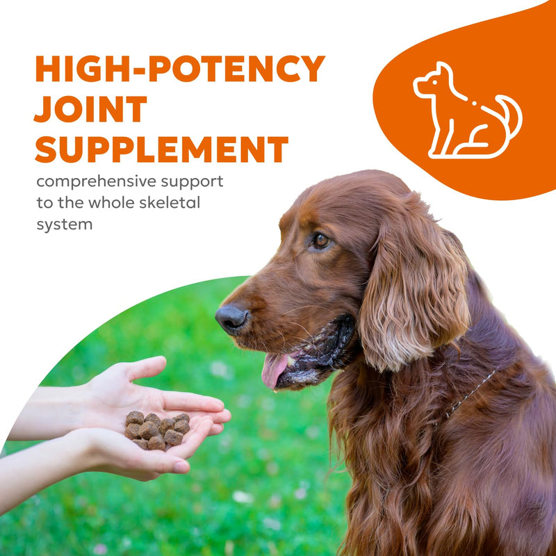 Canine Hip & Joint Soft Chews | Supplement for Dogs, Glucosamine, Collagen, Chondroitin, Turmeric Supplements, Dog Joint Health Support | 60 Chews (180g, 6.35 oz.) - PawsPlanet Australia