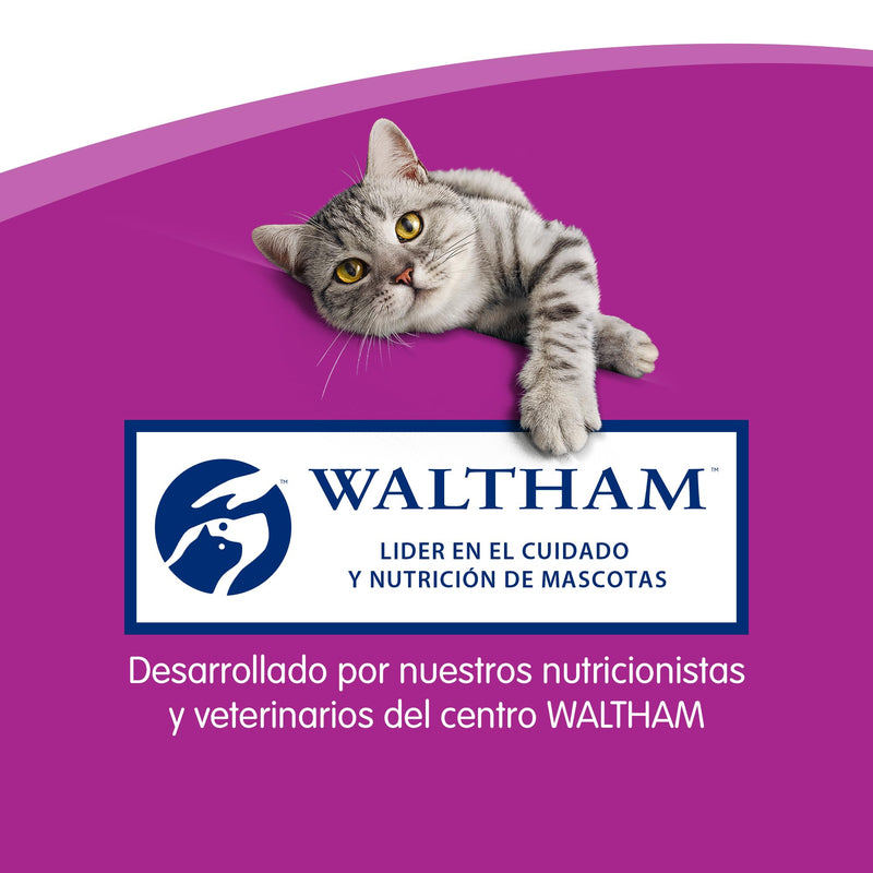 Whiskas sticks 28x18g (504g) Ricco di salmone - BeesActive Australia