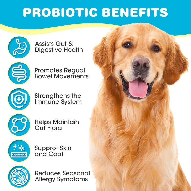 Probiotics for Dogs, Dog Probiotics for Diarrhea & Bowel Support, Digestive Enzymes Promotes Gut Health, Immunity Health & Itch Relief, Prebiotics and Probiotics - BeesActive Australia