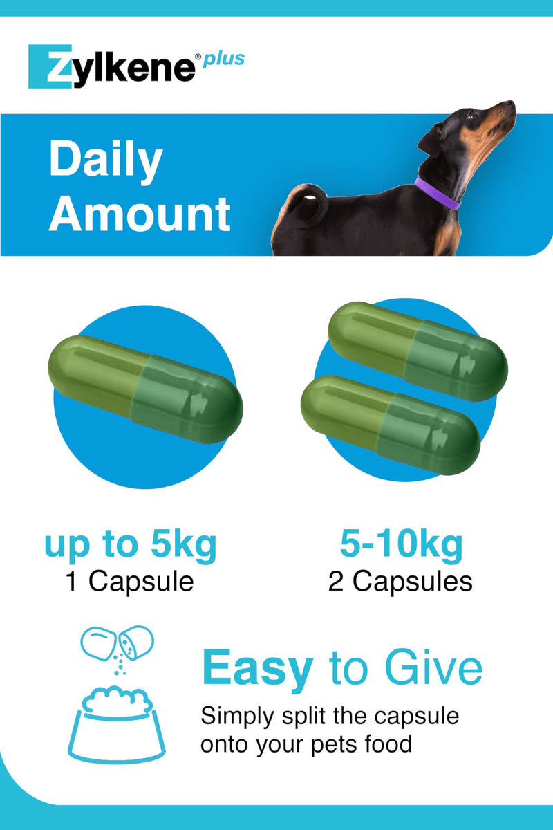 Zylkene Plus Calming Supplement for Cats & Dogs up to 10kg | Promotes Relaxation in long-term challenging situations: New baby, Home Alone, Moving house | Easily administered | 30 capsules Cats & Small Dogs