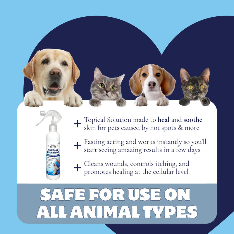 Canine Itch Care Hot Spot Spray & Itch Relief For Dogs. Remedy for Dog Itching, Dry Skin, Rash, Ringworm, Dermatitis, Itchy Paw, Irritation on Skin, Skin Allergy, Wound Care. 8 oz Ready To Use Spray