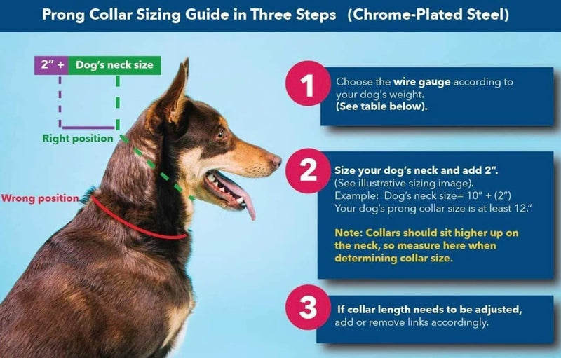 Herm Sprenger Prong Collar for Dogs Training – Quick Release Buckle & Swivel Ring for Easy Use – Made of Durable Steel Chrome Plated in Germany– 4.0mm Prongs for Extra Large Dogs with 26-30" Neck - BeesActive Australia