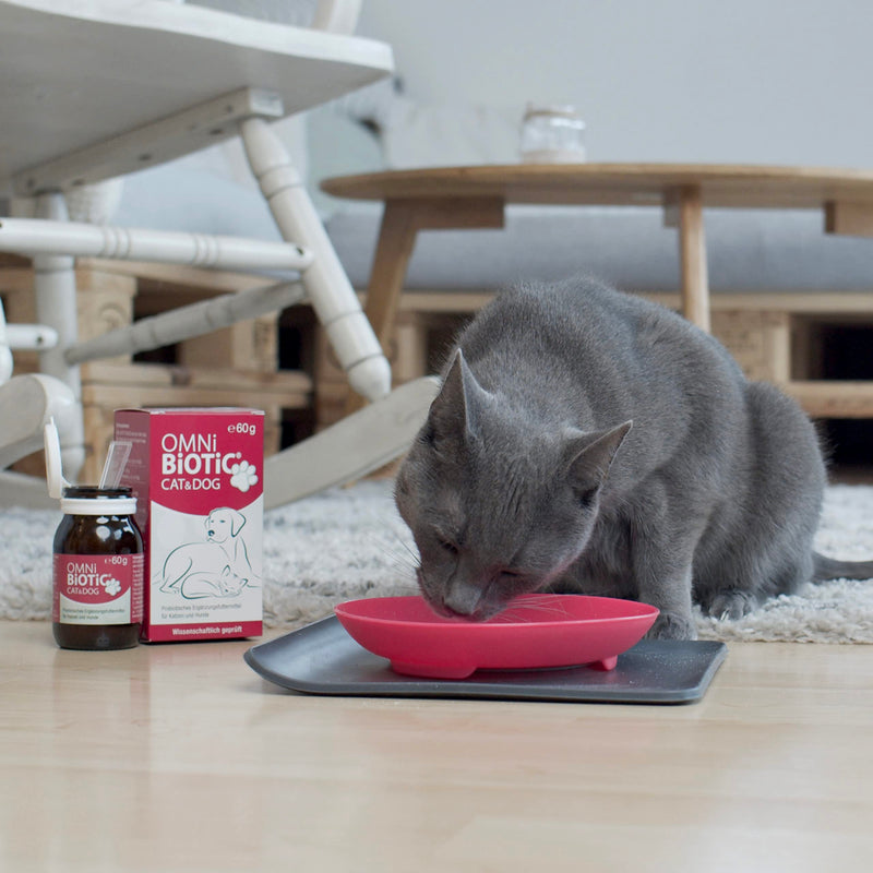 OMNi BiOTiC CAT & DOG | Probiotic for Cats & Dogs with Digestive Problems | Easy to Use with Wet or Dry Food | Suitable for Cats and Dogs of all Ages | Probiotic Powder | 60 g