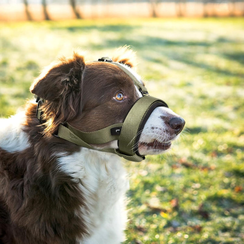 HEELE Dog Muzzle, Circles Soft Comfortable Neoprene Padding Muzzles for Small Medium Large Dogs, Prevent Biting, Licking, and Chewing, Protection with Adjustable Bonus Connection Strap Army Green - BeesActive Australia