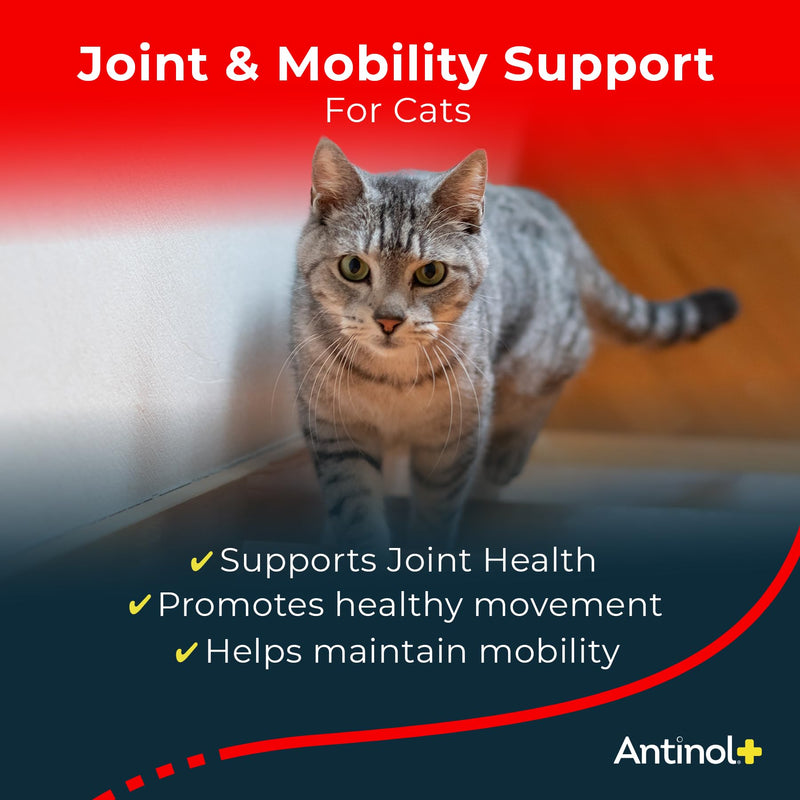 Antinol Plus, Mobility, Hip, and Joint Supplement for Cats, Green-Lipped Mussels and Krill Oil - Cat Joint Supplement, 30 Soft Gels 30 Count