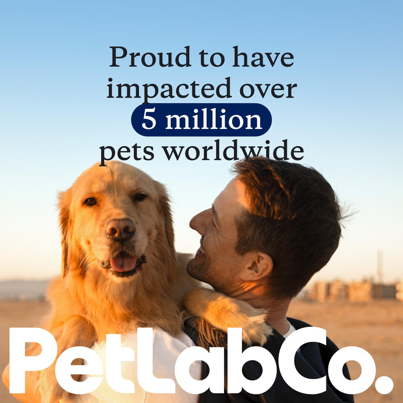 PetLab Co. Clear Ears Therapy Ear Cleaner for Dogs - Supporting Yeast, Itchy Ears & Healthy Ear Canals - Alcohol-Free Dog Ear Wash - Optimized Dog Ear Cleaner Solution - 4 oz. Pack of 2 Value 2-Pack