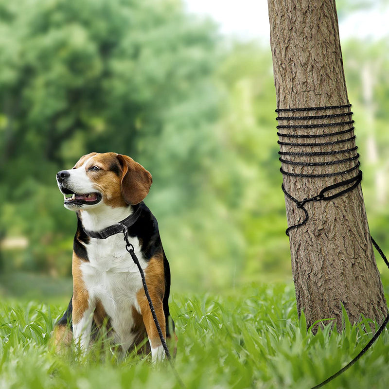 Joytale Long Dog Training Leash, 30 FT Tie Out Rope Check Cord Dogs Leashes with Padded Handle, Reflective Recall Lead for Puppy and Small Dogs, Black 30 ft(Pack of 1) - BeesActive Australia